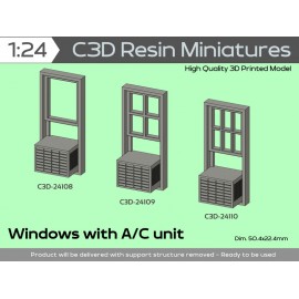 Windows with AC unit