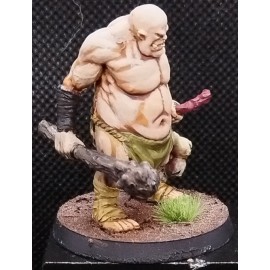 Ogre 28mm