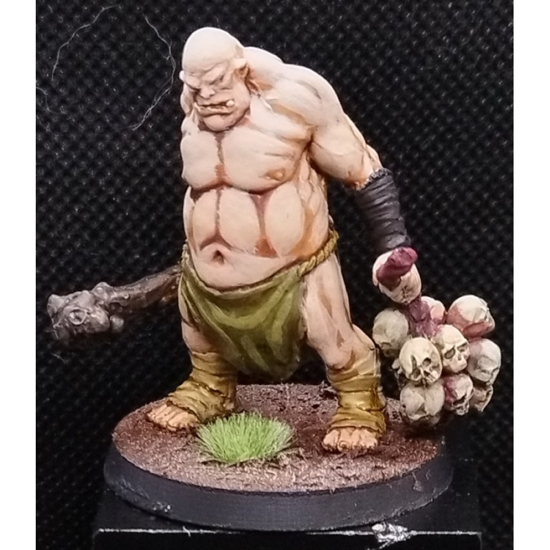 Ogre 28mm