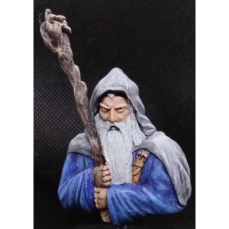 Wizard bust 1/10